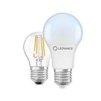 Ampoules LED E27 - 6500K