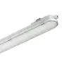 Philips Réglette LED Étanche CoreLine WT120C G2 61W 8000lm - 840 Blanc Froid | 150cm - Dali Dimmable 