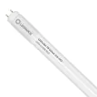 Ledvance Tube LED T8 Value (UN) High Output 24W 2800lm - 865 Lumière Du Jour | 150cm - Équivalent 58W