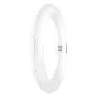 Osram Tube LED T9 Circulaire (EM/Direct 230V) 11W 1320lm - 840 Blanc Froid | Équivalent 22W