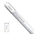 Noxion Tube LED T8 Avant Extreme (EM/Direct 230V) High Output 8.2W 1150lm - 865 Lumière Du Jour | 60cm - Équivalent 18W